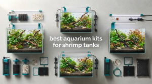 best aquarium kits for shrimp tanks