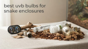 best uvb bulbs for snake enclosures